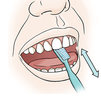 Primer plano de una boca en donde se ve el cepillo detrás de los incisivos superiores.