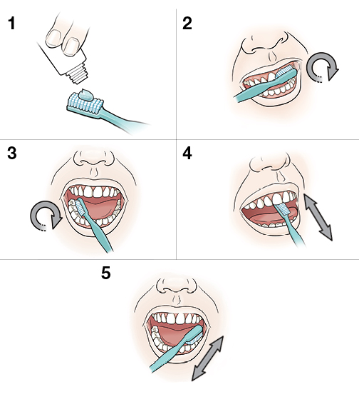5 pasos para cepillarse los dientes
