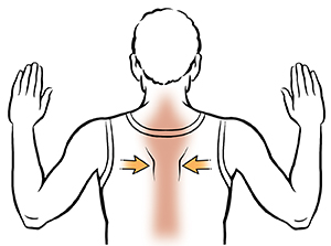 Exercise showing man's back with arms bent at elbows, pinching shoulder blades together.