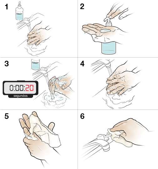 6 pasos para lavarse las manos