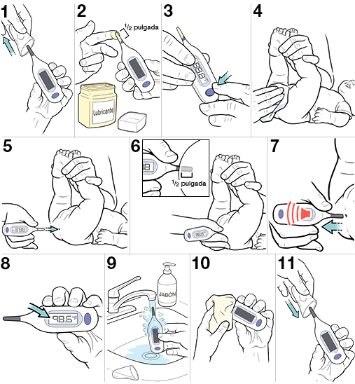 11 pasos para tomarle la temperatura rectal al bebé.