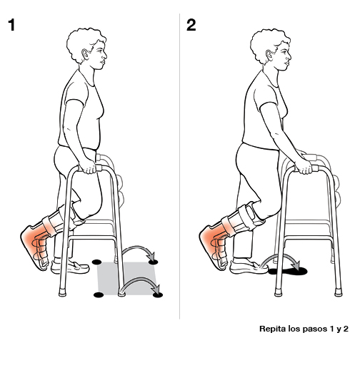 Dos pasos para usar un andador (sin soporte de peso).
