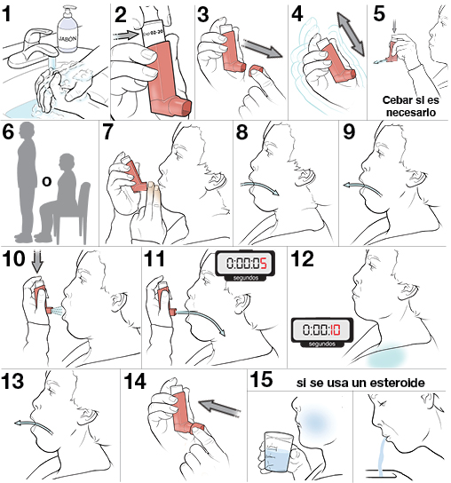 15 pasos para usar un inhalador de dosis medida sin espaciador