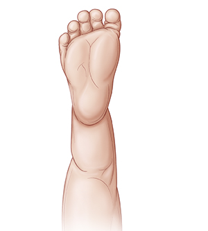 Contorno de la pierna de un bebé que muestra la planta del pie.